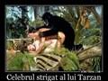 din natura - 5321celebrul-strigat-al-lui-tarzan.jpg